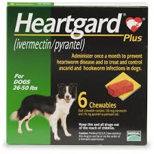 Heartgard Plus Chewables For Dogs 26 To 50 Lbs 6 Pack 6