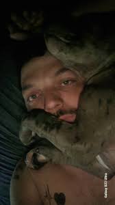 Great Dane refusing to get up