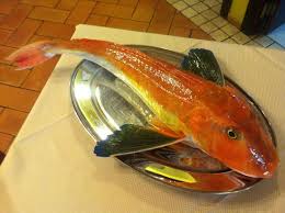 Il mare, la pesca, le immersioni, la nautica, la biologia e tanto tanto altro nel giornale dei marinai, il blog del mare. Gallinella Di Mare Picture Of Ristorante Federico Ii Termoli Tripadvisor