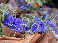 Scotts Valley: Farmers Market