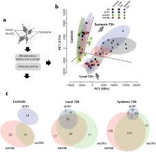 Jimmy carter was president, followed by ronald regan. Ethylene Is A Local Modulator Of Jasmonate Dependent Phenolamide Accumulation During Manduca Sexta Herbivory In Nicotiana Attenuata Biorxiv