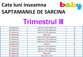 Cate Luni Inseamna Saptamanile De Sarcina Grafic Detaliat Revista Baby Pentru PÄƒrinti È™i Copii