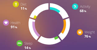 Donut Chart Jsfiddle