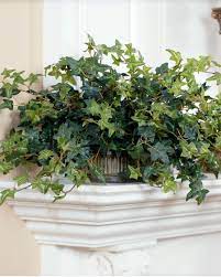 Silk bonsais do not need much special care, as they are artificial plants. Silk English Ivy In Oval Planter At Petals