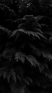 SÉ´Éªá´É¢á´á´á´á´ Black Colour Mood Aesthetic Black Wallpaper Iphone Black Phone Wallpaper Dark Wallpaper Iphone Apple logo dark grey 4k. black colour mood aesthetic