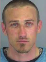 Second hemp farm nursery coming to Polk