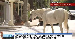Για την εξέλιξη του κορωνοιού στην χώρα μας, την μετάλλαξη δ καθώς και την σημασία του εμβολιασμού, μίλησε μεταξύ άλλων ο καθηγητής μικροβιολογίας, αλκιβιάδης βατόπουλος, στην εκπομπή σήμερα στον σκαϊ. Du31kas Zw0zrm