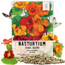 Image result for Nasturtium