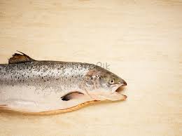 Stunning underwater trout photography, from rainbow and brook trout to brown trout, steelhead, and sockeye, featuring native habitats and rare species. Trout On A Cutting Board Photo Image Picture Free Download 501499703 Lovepik Com