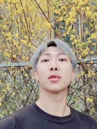 Part 2 of i'm watering the flowers in the garden called ‚us. Sel On Twitter Bts Weverse Post Rm Namjoon 210404 Nj Forsythia The Flowers In The Back Bts Twt