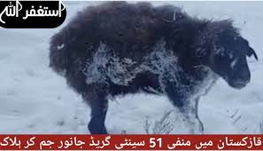 Fc astana were the defending champions after winning their sixth title the previous season. Animals Freeze To Death In Kazakhstan In Videos And Pictures Strange Sounds