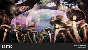 Square or round(you pick) plastic bits for this kit, that are attached to an adhesive canvas by assigned color. Fantasy World Image Photo Free Trial Bigstock