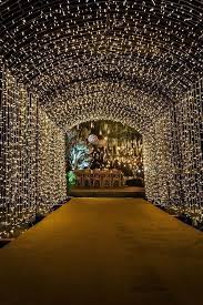 Wedding Lighting Outdoors Free Wedding Lights Outdoor Wedding Lights Indian Wedding Decorations Receptions Wedding Hall Decorations Wedding Lights