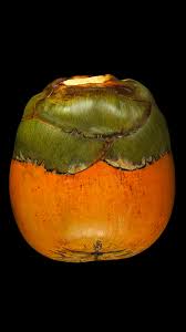 Image result for Borassus aethiopum