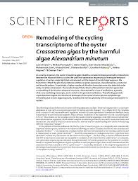 Pdf Remodeling Of The Cycling Transcriptome Of The Oyster