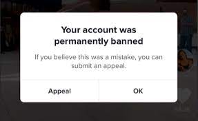 How To Get Your Tiktok Account Unbanned Why Was My Account Banned