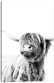 Select from 35970 printable coloring pages of cartoons, animals, nature, bible and many more. Highland Cows Canvas Prints Icanvas
