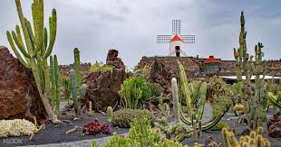 What could be more fun than a few good friends and a guided tour of a local winery? Lanzarote Chronicles Of Canada Slim