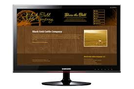 Black And Gold Website Color Scheme Black Gold Cattle Co Dark Color Scheme Wood Texture Gold And Brown Palette Website Design Website Design Wood Texture Color Schemes