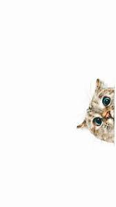 35 Cute Funny Cat Iphone Wallpaper Backgrounds Free Download Cat Wallpaper Funny Iphone Wallpaper Iphone Wallpaper