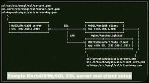 We provide the best experience for you. How To Set Up Mariadb Ssl And Secure Connections From Clients Nixcraft