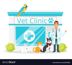 Vet Clinic With Doctor Royalty Free Vector Image Vet Clinics Pet Clinic Hospital Cartoon