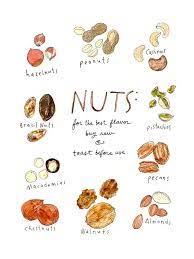 Types Of Nuts Hazelnut Peanut Cashews Pistachios Pecans Watercolor Art Prints Watercolor Food Watercolor Art