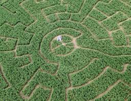 Swiss Labyrinthe Jura Delemont Activite