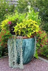 Oooh Soooo Lush Perfect For A Wealth Quadrant Back Left Corner Of Your Back Yard Or Patio Here Comes Container Garden Design Garden Containers Patio Garden