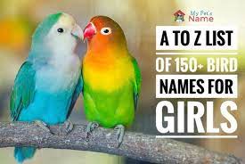 The Complete A To Z List Of 150 Bird Names For Girls