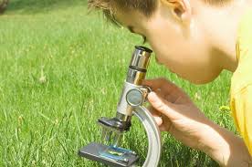 Как выбрать микроскоп: что нужно знать о ценах и характеристиках