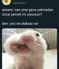 Agresif D Adli Kullanicinin Twitter Panosundaki Pin 2020 Komik Capsler Komik Seyler Komik