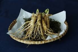 Salah satunya adalah menurunkan kolesterol ldl. Punya Kandungan Luar Biasa Yang Mampu Menurunkan Berat Badan Begini Cara Mengonsumsi Ginseng Semua Halaman Nakita