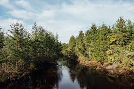 The park was once the. Njdep Double Trouble State Park New Jersey State Park Service
