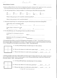 Information provided and your knowledge of inheritance to help them understand the genetics makeup of spongebob and his friends! Bikinibottomgenetics Pdf Sponge Bob Genetics Worksheets Biology Worksheet Dna Worksheet Genetics