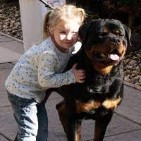 Hours may change under current circumstances Rottweiler Puppies For Sale In Nevada