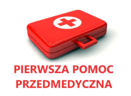 Pierwsza pomoc przedmedyczna - Kwiecień - 2021 - Aktualności - Pedagogiki i  Psychologii - Wydziały - Strona główna UMCS