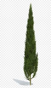 Consider the environment of arizona, and you've got the best environment in which to grow arizona cypress trees. Cutout Plant Shrub Cypress Tree Png Clipart 16877 Pikpng