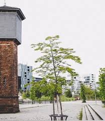 Kennt Ihr Das Kleinste Hotel In Karlsruhe Die Tower Suite Im Ehemaligen Wasserturm Steht Im City Park Und Bietet Luxus Instagram Pictures Pictures Karlsruhe