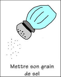 Mettre Son Grain De Sel S Immiscer En General Mal A Propos Dans Une Une Conversation Ou Un Expressions Francaises Expressions Idiomatiques Expression Imagee