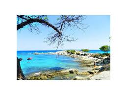 We did not find results for: Boyrboyroy