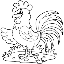 Kumpulan gambar hitam putih bw untuk diwarnai. Contoh Gambar Contoh Mewarnai Ayam Jantan Kataucap