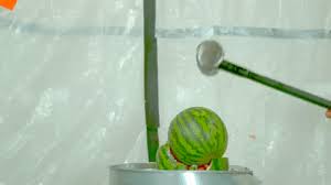 I've been watching too many space documentaries. 21 Watermelon Memes Funny Gifs Factory Memes