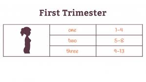 1000000 months = 30437500 days. Pregnancy Weeks To Months How To Do The Math Accurately