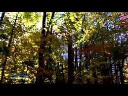 Gheorghe Zamfir The Sound Of Silence Youtube Pan Flute Sound Amazing
