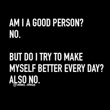  Suis Je Une Bonne Personne Non Mais J Essaie De Devenir Meilleure Tous Les Jours Non Aussi Funny Quotes Work Quotes Sarcastic Quotes