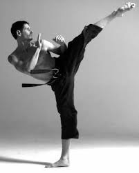 Black Swan Martial Arts Photography Martial Arts Human Poses