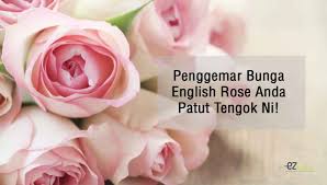 Pokok hiasan pada asalnya berasal daripada alam semulajadi. Kak Long Penggemar Bunga English Rose Anda Patut Tengok Ni Eztakaful