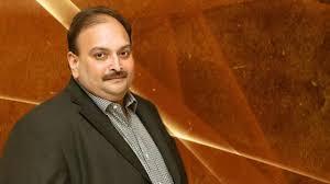Johns antigua, may 25 (ani): Mehul Choksi Moved To Antigua For Business Interest The Live Mirror