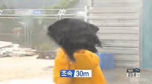 본래 2004년 에 방영되었던 ' 단팥빵 '이란 드라마 첫 회의 과거 회상 장면에서 나왔던 장면을 캡쳐한 짤방으로 책상을 밟고 점프해 킥을 날리는 1 그 타격감이 실로 대단하다. í'ì†ì €ìž¥ì†Œ íƒœí'ì˜ ìœ„ë ¥ì„ ì•Œì•„ë³´ìž Araboza ì§¤ë°© ì´ì „ìžë£Œ3 ì¼ë² ì €ìž¥ì†Œ